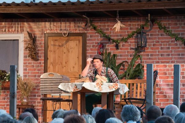 Foto 40 von 78 aus der Galerie Benefiz Open-Air Sommerkomödie
