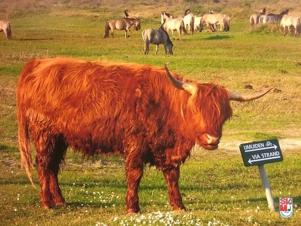 Foto 10 von 557 aus der Galerie Konzertreise Niederlande
