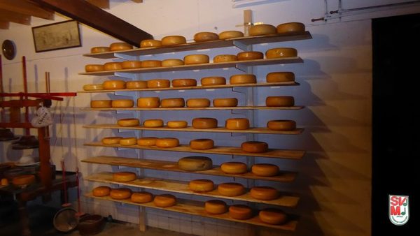 Foto 76 von 557 aus der Galerie Konzertreise Niederlande