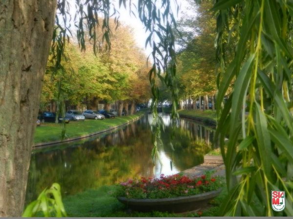 Foto 464 von 557 aus der Galerie Konzertreise Niederlande